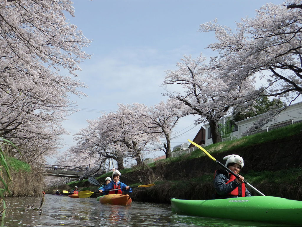 2017桜の花見カヌーIN鳥取市袋川